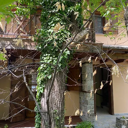 Kastania * Makriammos